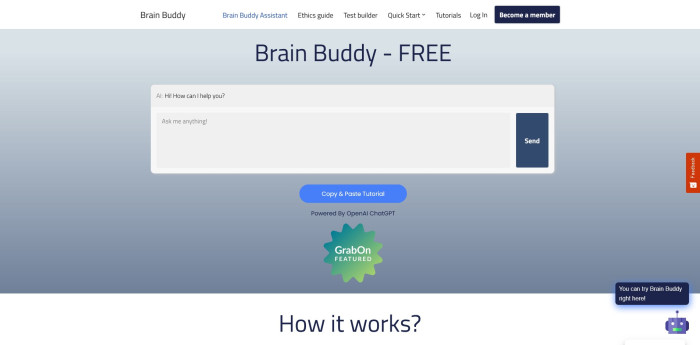 Brain Buddy - compressed