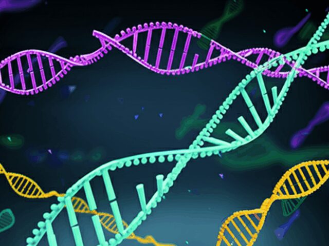 Ancient RNA-Guided System Could Revolutionize Gene Editing Delivery