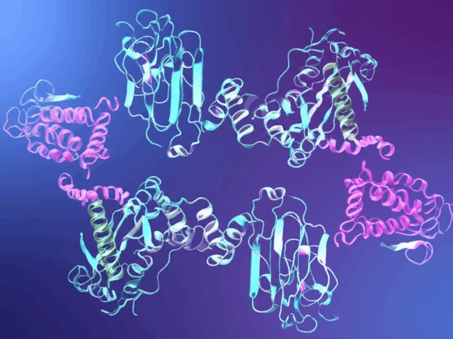 FragFold: MIT’s AI Cracks Protein Folding Prediction, Revolutionizing Drug Discovery